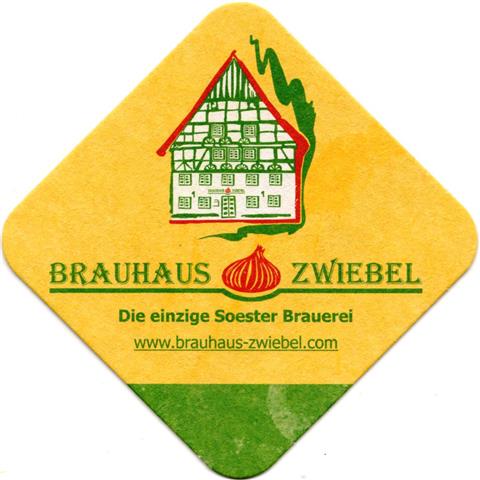 soest so-nw zwiebel raute 3-4a (185-das einzige-haus grer)